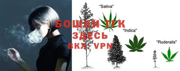 mdpv Богородск