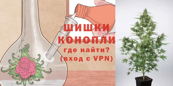 mdpv Богородск