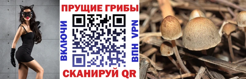 Галлюциногенные грибы Magic Shrooms  Чадан 